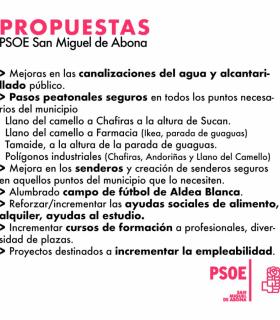 Toñi Cabrera García, Portavoz del PSOE de San Miguel de Abona, "hemos sido el único grupo político de la oposición que ha presentado propuestas para contribuir y mejorar la vida de nuestro pueblo" · foto 2