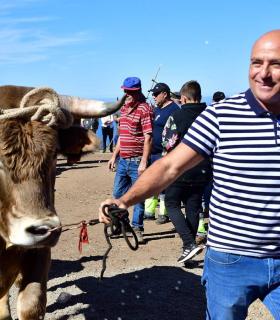 Feria de Ganado de San Antonio Abad. San Juan Tacoronte · foto 57