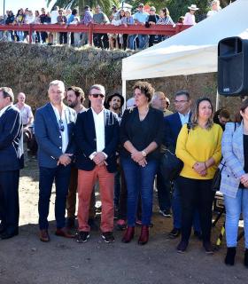 Feria de Ganado de San Antonio Abad. San Juan Tacoronte · foto 27