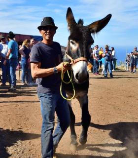 Feria de Ganado de San Antonio Abad. San Juan Tacoronte · foto 88
