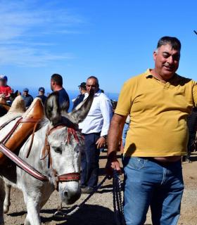 Feria de Ganado de San Antonio Abad. San Juan Tacoronte · foto 79