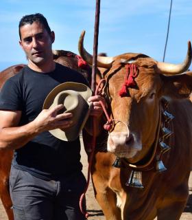 Feria de Ganado de San Antonio Abad. San Juan Tacoronte · foto 74