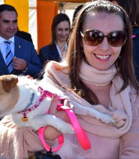 Feria de Ganado de San Antonio Abad. San Juan Tacoronte · foto 91