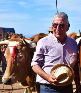 Feria de Ganado de San Antonio Abad. San Juan Tacoronte · foto 72