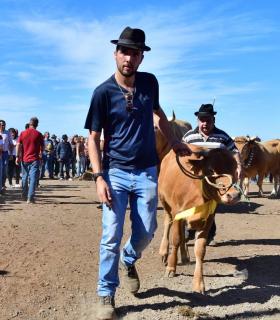 Feria de Ganado de San Antonio Abad. San Juan Tacoronte · foto 76