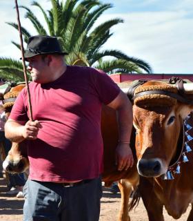 Feria de Ganado de San Antonio Abad. San Juan Tacoronte · foto 37