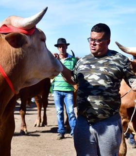 Feria de Ganado de San Antonio Abad. San Juan Tacoronte · foto 41