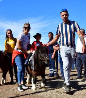 Feria de Ganado de San Antonio Abad. San Juan Tacoronte · foto 81