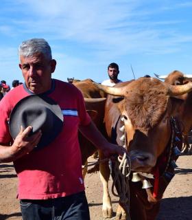 Feria de Ganado de San Antonio Abad. San Juan Tacoronte · foto 45