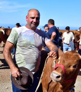Feria de Ganado de San Antonio Abad. San Juan Tacoronte · foto 64