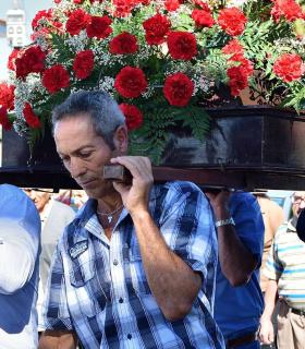 Feria de Ganado de San Antonio Abad. San Juan Tacoronte · foto 20