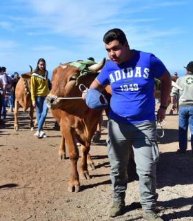 Feria de Ganado de San Antonio Abad. San Juan Tacoronte · foto 66