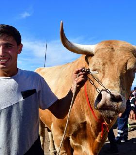 Feria de Ganado de San Antonio Abad. San Juan Tacoronte · foto 78