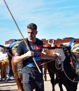 Feria de Ganado de San Antonio Abad. San Juan Tacoronte · foto 40