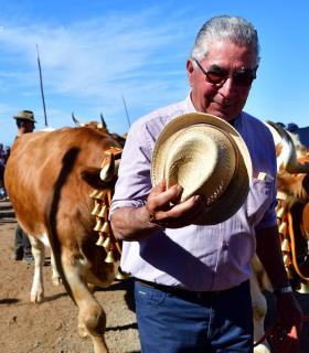Feria de Ganado de San Antonio Abad. San Juan Tacoronte · foto 73