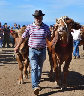 Feria de Ganado de San Antonio Abad. San Juan Tacoronte · foto 69