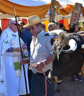 Feria de Ganado de San Antonio Abad. San Juan Tacoronte · foto 35
