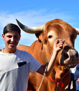 Feria de Ganado de San Antonio Abad. San Juan Tacoronte · foto 47