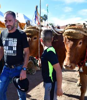 Feria de Ganado de San Antonio Abad. San Juan Tacoronte · foto 31