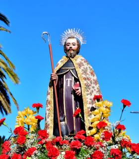 Feria de Ganado de San Antonio Abad. San Juan Tacoronte · foto 19