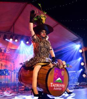 Piñata Chica de Tacoronte 2020. Carnavales de Tenerife · foto 52