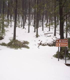 Operativo quitanieves puesto en marcha durante el día de hoy en las carreteras de acceso al Parque Nacional del Teide · foto 4