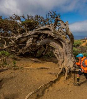 Vive el calor herreño de la Maratón del Meridiano durante todo el año · foto 1