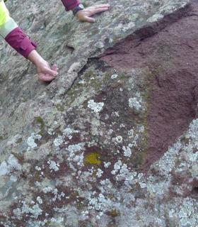 El Cabildo de Tenerife constata que los grabados rupestres de la piedra de Taganana están intactos · foto 1