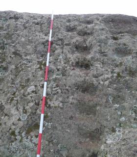 El Cabildo de Tenerife constata que los grabados rupestres de la piedra de Taganana están intactos · foto 5