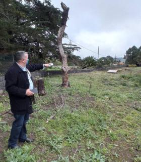 Tacoronte: el municipio recupera 25.000 m2 de terrenos abandonados en La Libertad para crear dos nuevos espacios deportivos · foto 1