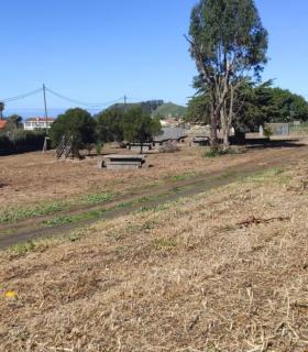 Tacoronte: el municipio recupera 25.000 m2 de terrenos abandonados en La Libertad para crear dos nuevos espacios deportivos · foto 5