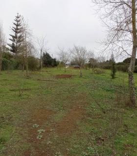 Tacoronte: el municipio recupera 25.000 m2 de terrenos abandonados en La Libertad para crear dos nuevos espacios deportivos · foto 3