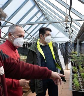 El vivero del Teide protege semillas de más de 200 especies, muchas de ellas en peligro · foto 2