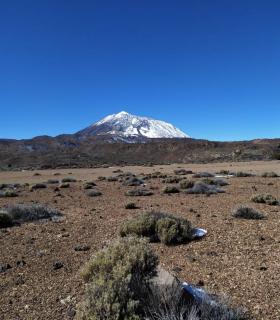 El Parque Nacional del Teide registra un enero inusualmente lluvioso y frío · foto 2
