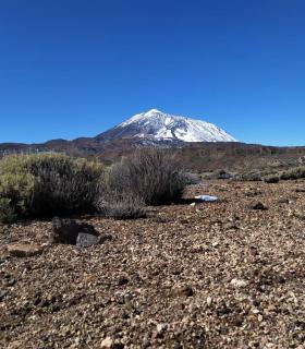 El Parque Nacional del Teide registra un enero inusualmente lluvioso y frío · foto 1
