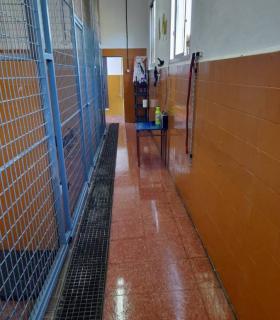 El Ayuntamiento de Tacoronte ha puesto de nuevo en funcionamiento el Refugio Municipal de Animales · foto 3