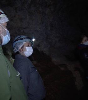El Cabildo de Tenerife reabre la Cueva del Viento a partir del día 20 con visitas adaptadas al protocolo Covid · foto 4