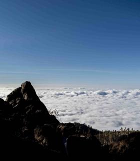 La Tenerife Bluetrail 2021 abre hoy el plazo de inscripción · foto 4