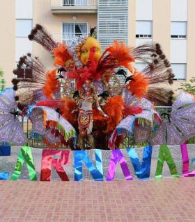 Santa Cruz de Tenerife: Fiestas revela los ganadores de los concursos de fotografía con temática carnavalera · foto 11