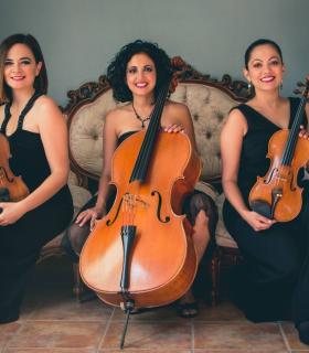 “Sherezade” ofrece un concierto de violín y violonchelo en el Museo de Bellas Artes de Santa Cruz de Tenerife · foto 2