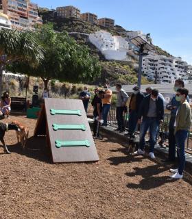 Tabaiba estrena el primer parque para perros de El Rosario. · foto 3