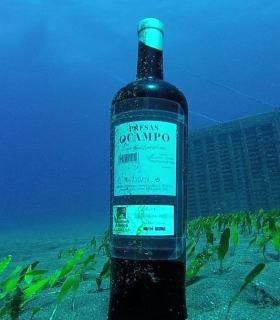 Vino submarino Presas Ocampo: desde el fondo del oceáno atlántico para tu mesa · foto 2