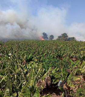 Controlado el incendio de Bajamar tras cinco horas de duro trabajo · foto 2