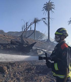 Controlado el incendio de Bajamar tras cinco horas de duro trabajo · foto 7