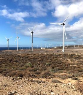 El PSOE de Arico celebra que el Gobierno regional ponga fin al caos de los parques eólicos · foto 2
