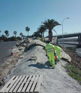 El Cabildo de Tenerife mejora el paisaje de la TF-1 en el enlace del aeropuerto Tenerife-Sur · foto 1