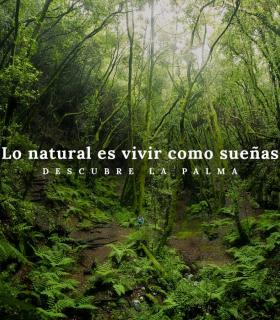 ‘Lo natural es vivir como sueñas’, nueva campaña de turismo de la isla La Palma · foto 5