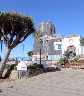Tacoronte: el cambio de la vegetación de la plaza de Santa Catalina dará más relevancia y visibilidad al espacio monumental protegido · foto 1