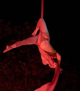 Vallehermoso deja sin palabras a los asistentes al Festival "Descubrimiento" · foto 1