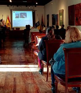 Los expertos dan por controlada la “pandemia” de termitas que afecta Tacoronte desde principios de siglo · foto 4